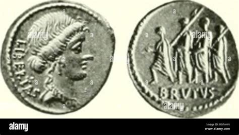 ncii coins